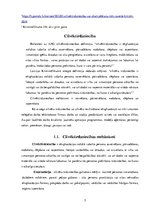 Referāts 'Cilvēktirdzniecības psiholoģija', 5.