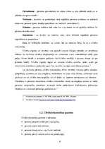 Referāts 'Cilvēktirdzniecības psiholoģija', 6.