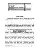 Referāts 'Latvijas valsts budžeta analīze 2007.gadā', 19.