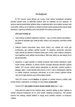 Referāts 'Latvijas valsts budžeta analīze 2007.gadā', 22.