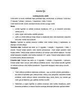 Referāts 'Latvijas valsts budžeta analīze 2007.gadā', 24.