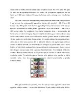 Referāts 'Naudas attīstība Latvijā', 11.