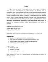 Referāts 'Mūžizglītības politika Latvijā', 5.