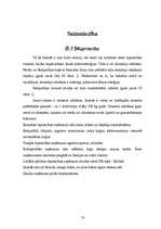 Referāts 'Islande', 16.