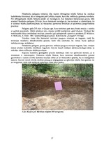 Prakses atskaite 'Pīkaņkalns un tā apkārtne', 17.