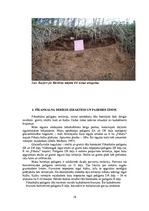 Prakses atskaite 'Pīkaņkalns un tā apkārtne', 18.