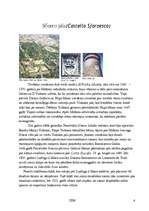 Referāts 'Milāna', 5.