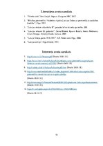 Referāts 'Jāņa Lejiņa romāna "Vīrieša sirds" un vēstures notikumu paralēles', 15.