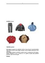 Biznesa plāns 'Alternatīvo sporta preču veikals', 5.