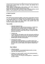 Biznesa plāns 'Alternatīvo sporta preču veikals', 8.