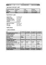 Biznesa plāns 'Alternatīvo sporta preču veikals', 11.