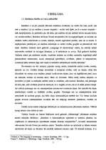 Referāts 'Reklāmas nozīme sabiedrisko organizāciju darbībā', 5.