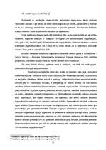 Referāts 'Reklāmas nozīme sabiedrisko organizāciju darbībā', 21.