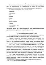 Referāts 'Tirgzinības pasākumu plānošana pakalpojumu uzņēmumā', 15.