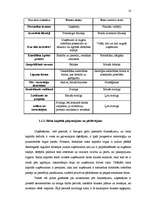 Diplomdarbs 'Biznesa eņģeļi un to attīstības iespējas Latvijā', 9.