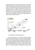 Diplomdarbs 'Biznesa eņģeļi un to attīstības iespējas Latvijā', 10.