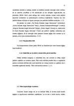 Diplomdarbs 'Biznesa eņģeļi un to attīstības iespējas Latvijā', 24.