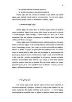 Diplomdarbs 'Biznesa eņģeļi un to attīstības iespējas Latvijā', 27.