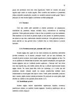 Diplomdarbs 'Biznesa eņģeļi un to attīstības iespējas Latvijā', 28.