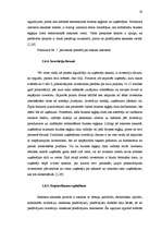 Diplomdarbs 'Biznesa eņģeļi un to attīstības iespējas Latvijā', 32.