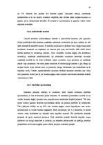 Diplomdarbs 'Biznesa eņģeļi un to attīstības iespējas Latvijā', 33.