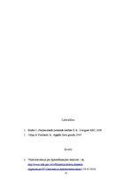 Referāts 'Vīnes konvencijas privilēģiju un imunitāšu salīdzinājums', 12.