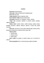 Referāts 'Uzņēmuma "Medus kārums" dibināšanas process', 2.