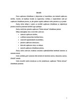 Referāts 'Uzņēmuma "Medus kārums" dibināšanas process', 5.