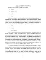 Referāts 'Interjeru nozīme viesu piesaistē viesnīcām', 4.