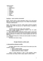 Konspekts 'Vardarbības socioloģija', 5.