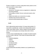 Konspekts 'Sirds un asinsvadu slimības', 12.