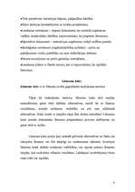 Konspekts 'Lēmuma pieņemšana organizācijā', 6.