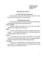 Paraugs 'Mārketinga plāns, struktūra', 1.