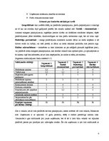 Paraugs 'Mārketinga plāns, struktūra', 4.