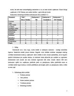 Paraugs 'Mārketinga plāns, struktūra', 5.