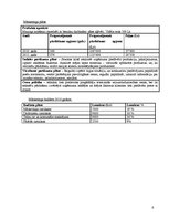 Paraugs 'Mārketinga plāns, struktūra', 6.