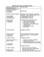 Konspekts 'Valsts pārbaudījuma kvalifikācijas stundas konspekts', 4.