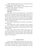 Referāts 'Mārketinga darbības pilnveidošanas projekts uzņēmumā "AER"', 13.