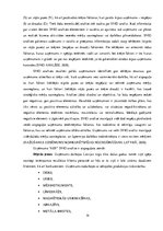 Referāts 'Mārketinga darbības pilnveidošanas projekts uzņēmumā "AER"', 14.