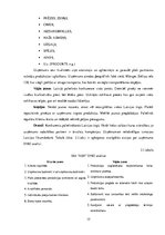 Referāts 'Mārketinga darbības pilnveidošanas projekts uzņēmumā "AER"', 15.