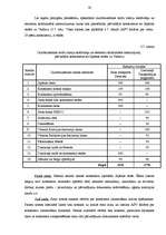 Referāts 'Konteineru pārvadājumu tirgus analīze Latvijas Republikā un Baltijas reģionā', 52.