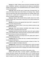 Referāts 'Konteineru pārvadājumu tirgus analīze Latvijas Republikā un Baltijas reģionā', 53.