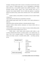 Diplomdarbs 'Projekts kā sākumskolas skolēnu praktisko prasmju pilnveidošanas līdzeklis mājtu', 11.