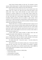 Diplomdarbs 'Projekts kā sākumskolas skolēnu praktisko prasmju pilnveidošanas līdzeklis mājtu', 51.