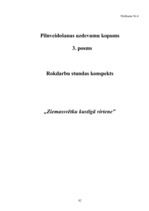 Diplomdarbs 'Projekts kā sākumskolas skolēnu praktisko prasmju pilnveidošanas līdzeklis mājtu', 83.