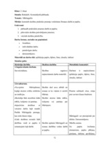 Diplomdarbs 'Projekts kā sākumskolas skolēnu praktisko prasmju pilnveidošanas līdzeklis mājtu', 94.