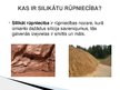 Prezentācija 'Silikāti', 2.