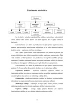 Biznesa plāns 'SIA "Cepējs"', 25.