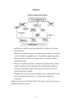 Biznesa plāns 'SIA "Cepējs"', 37.