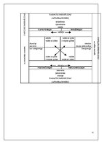 Konspekts 'Četri temperamenta tipi', 11.